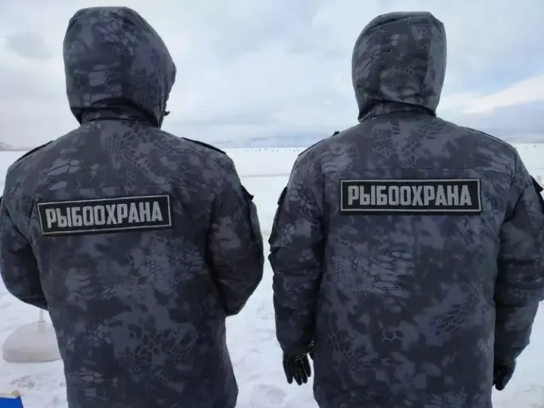 Kamchatka Inspectors Seize Nearly Half a Ton of Poached Fish