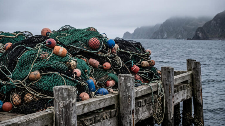 Kamchatka Records Historic Low Salmon Catch Amid Climate Anomalies
