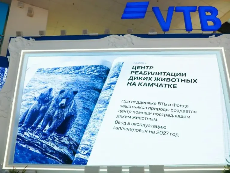 Kamchatka Wildlife Rehabilitation Center Set to Open in 2027