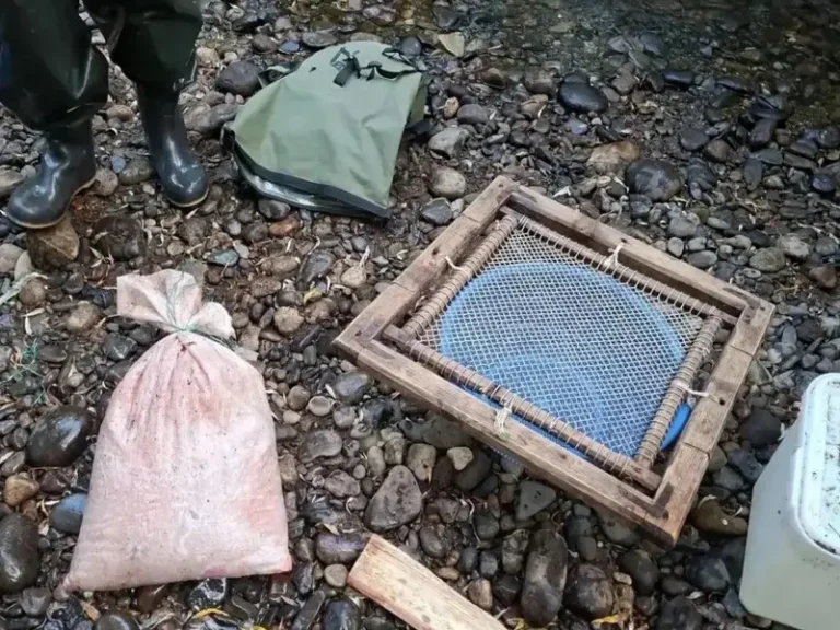 Kamchatka Poacher Detained with 8.2 kg of Chum Salmon Roe