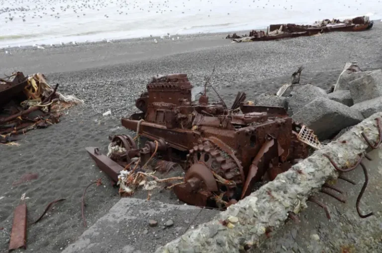 Kamchatka District Fined 10.3 Million Rubles for Coastal Pollution