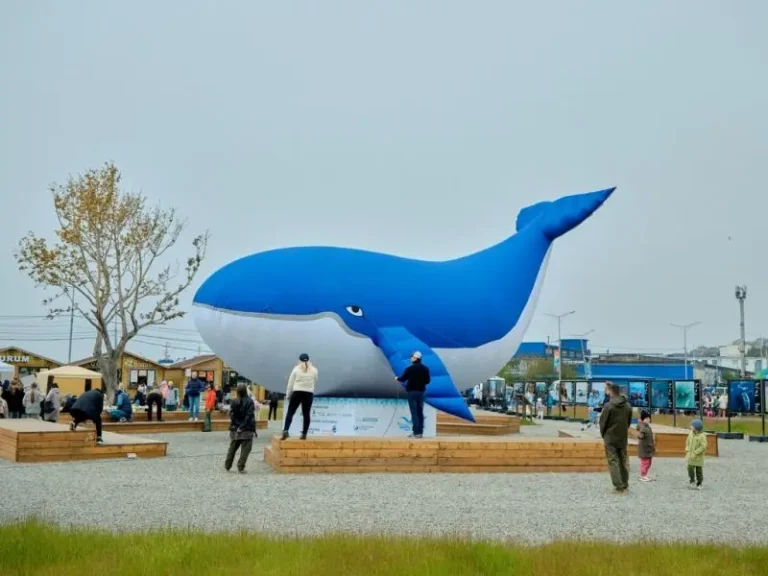 Yelizovo to Host Sea of Life Ecological Festival on September 26