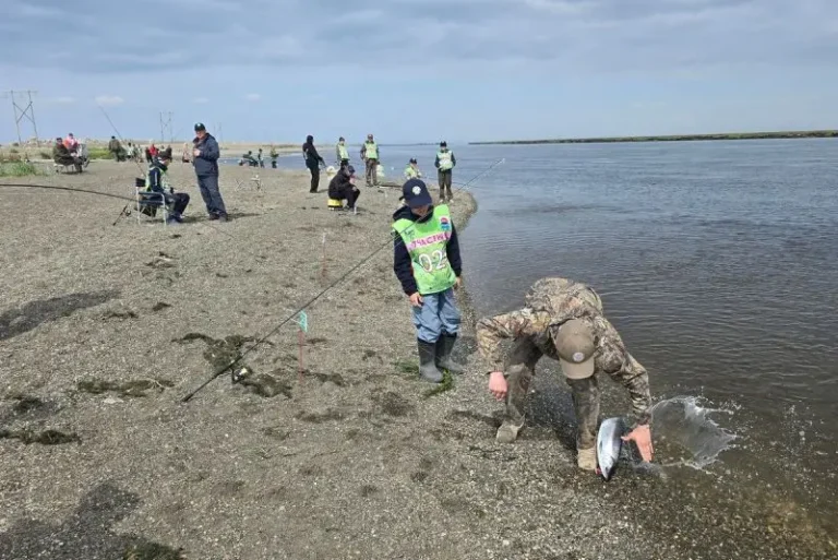 Kamchatka Hosts Annual Salmon Conservation and Fishing Festival