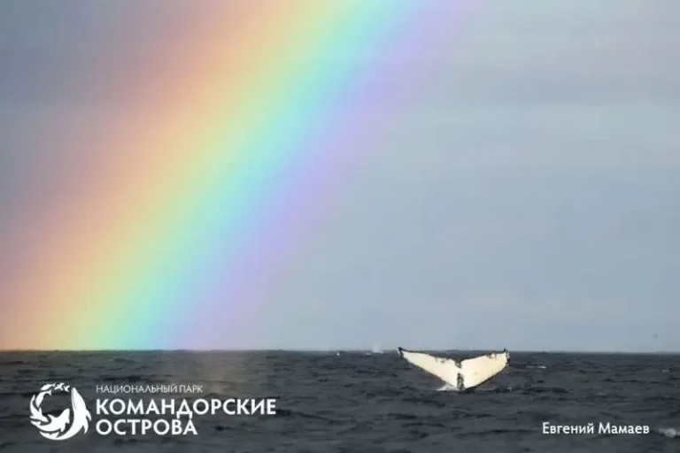 Atmospheric Conditions Trigger Rainbow Season in Commander Islands