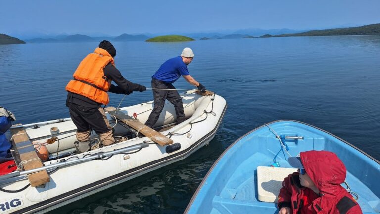 Kamchatka Kokanee Salmon Study Reveals Impact of Water Levels