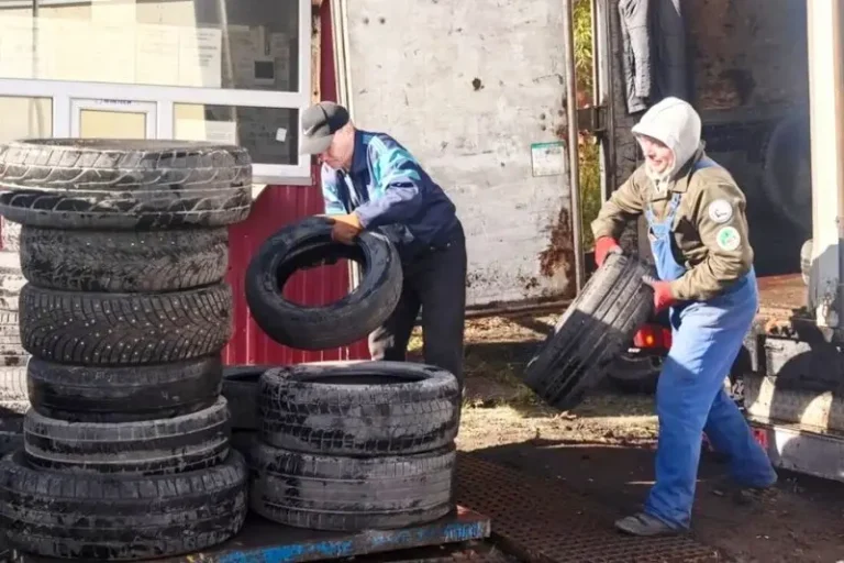 Kamchatka Launches Autumn Car Tire Recycling Drive