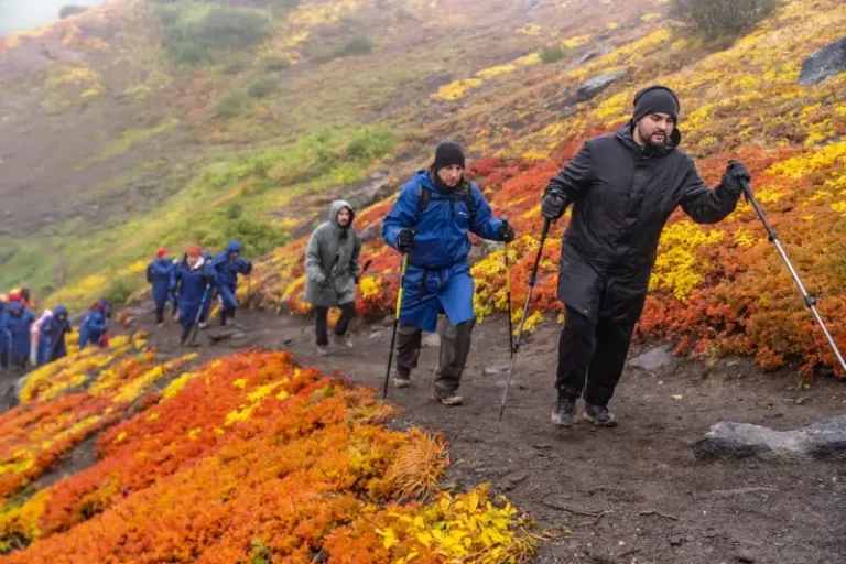 Kamchatka’s Three Volcanoes Park Conducts Voluntary Eco-Assessment
