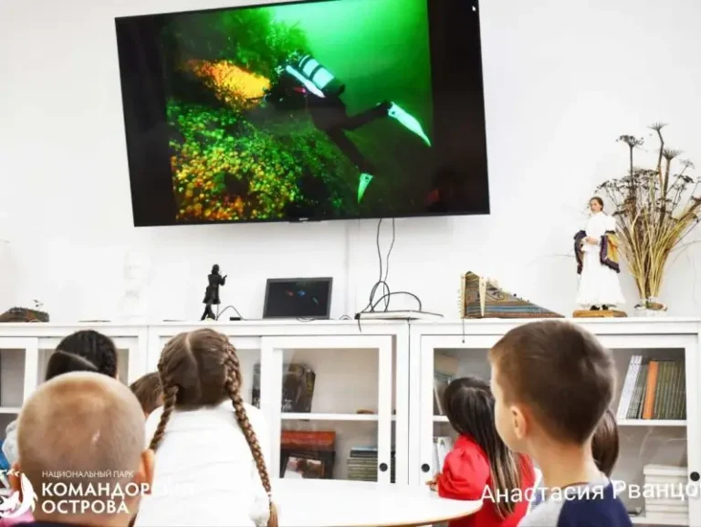 Bering Island Hosts Sea of Life Festival on Marine Biodiversity