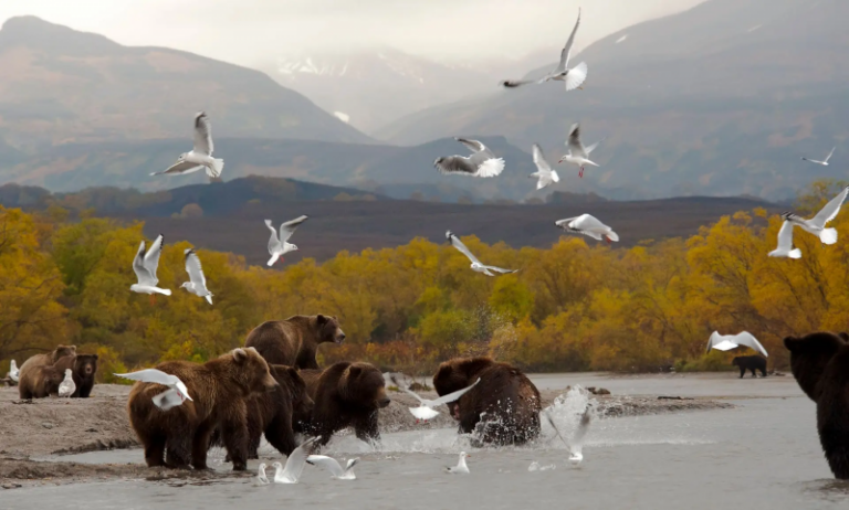 Kamchatka Nature Reserve Concludes Seasonal Inspector Training