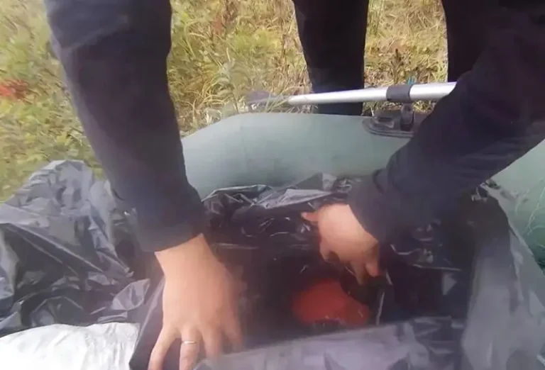 Kamchatka Authorities Apprehend 17 Poachers in Regional Fishing Patrols